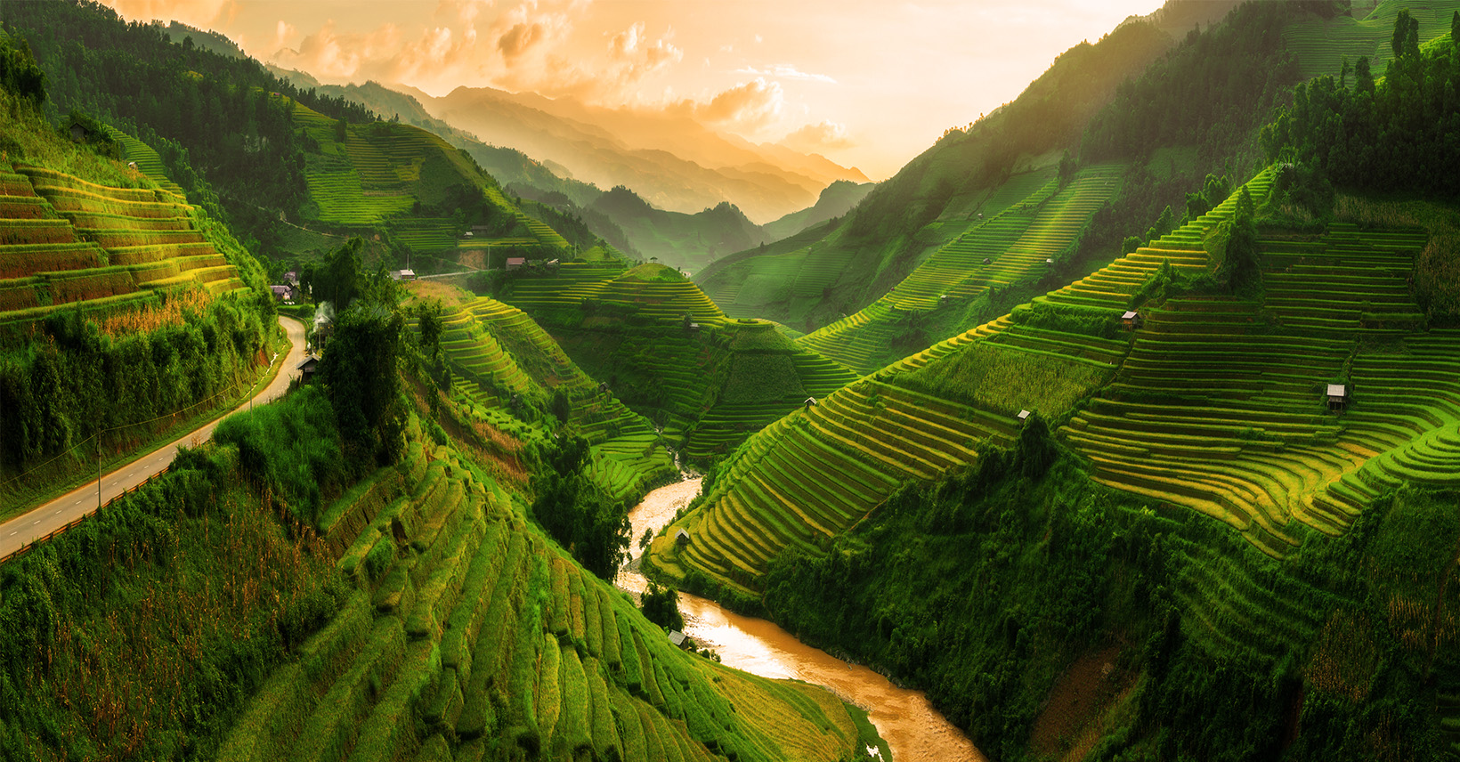 Risaie terrazzate di Sapa