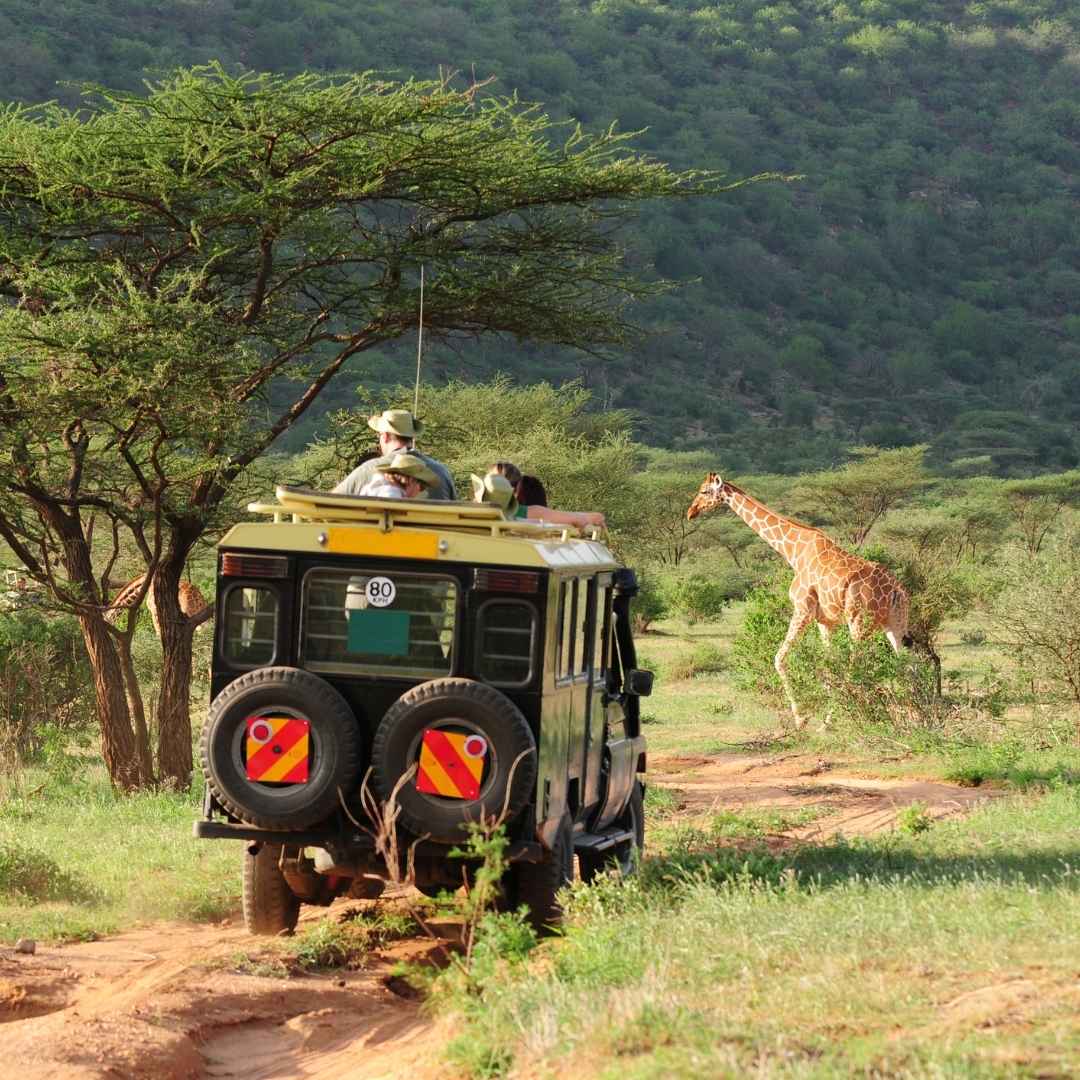 Safari in Kenya